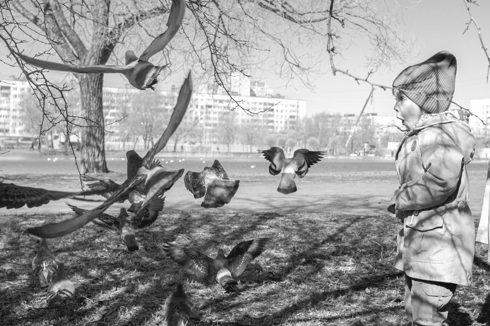 Photograph by Вячеслав Косенков