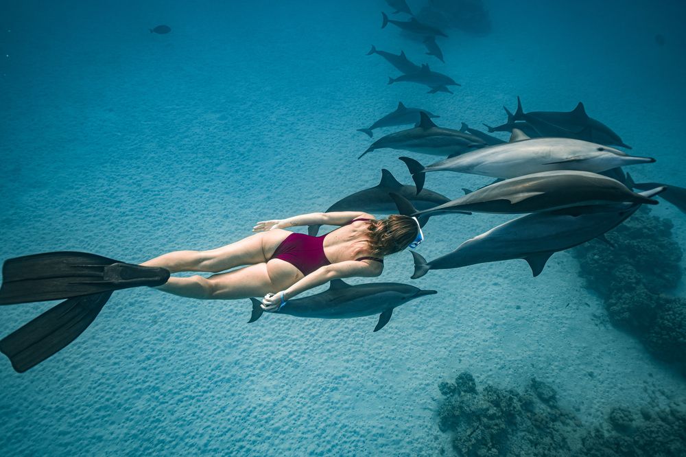 Photograph by Светлана Смирнова