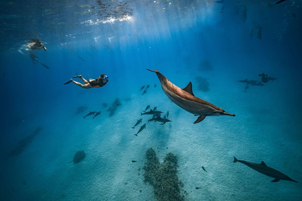 Photograph by Светлана Смирнова