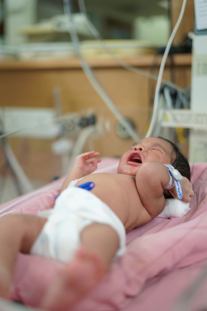 Photograph by Muhammed Junaid A P