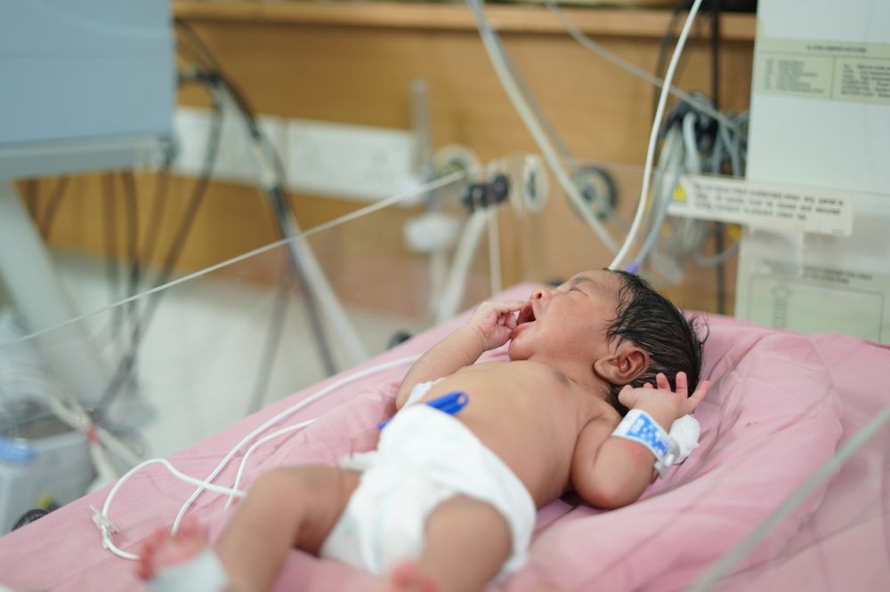 Photograph by Muhammed Junaid A P