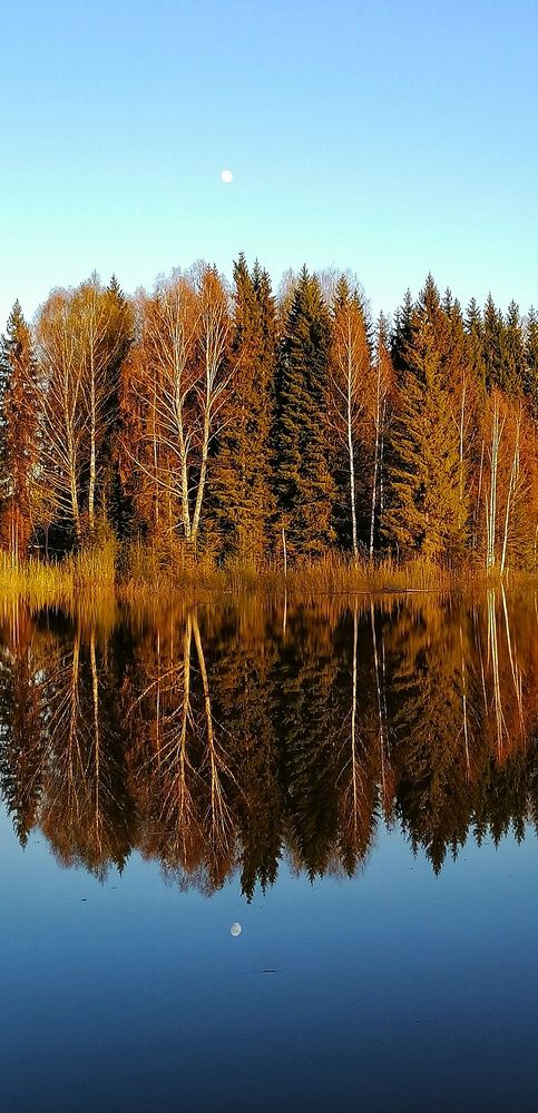 Photograph by Елена Сабирова