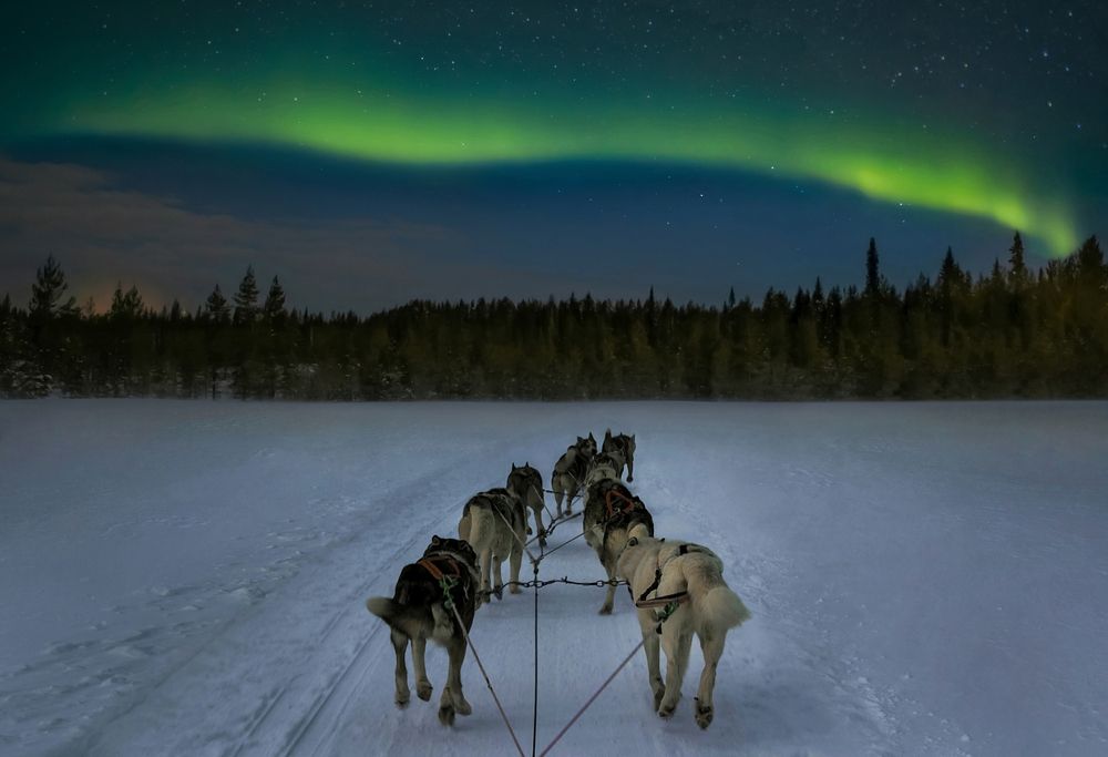 Photograph by Вадим Городницкий