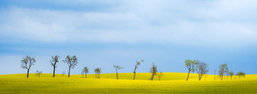 Photograph by Tomasz Dunajski