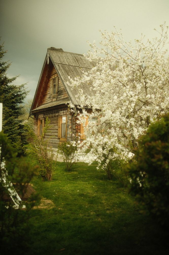 Photograph by Denis Naryshev