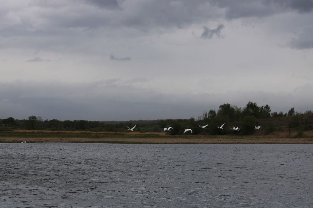 Photograph by Елена Коробченко