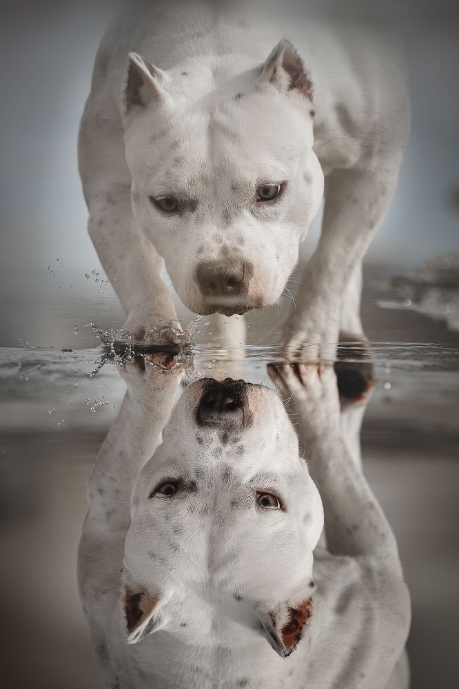 Photograph by Ольга Легенькая