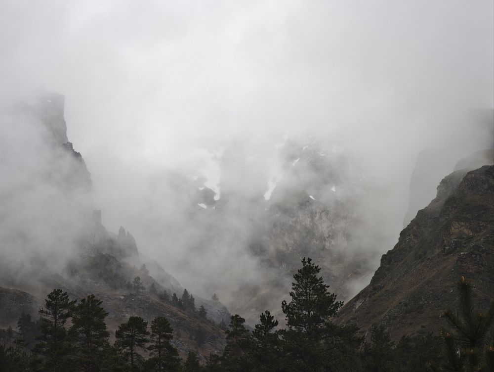 Фотография автора Артем Веселов