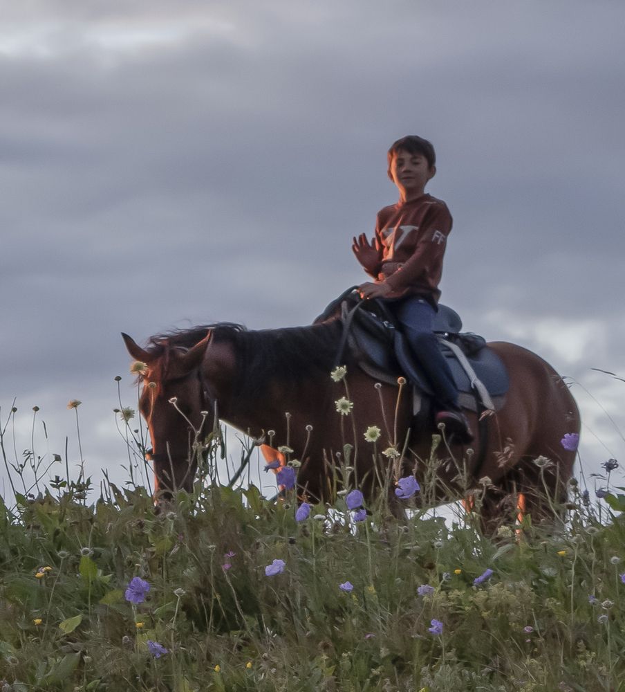 Фотография автора Шипунова Ирина