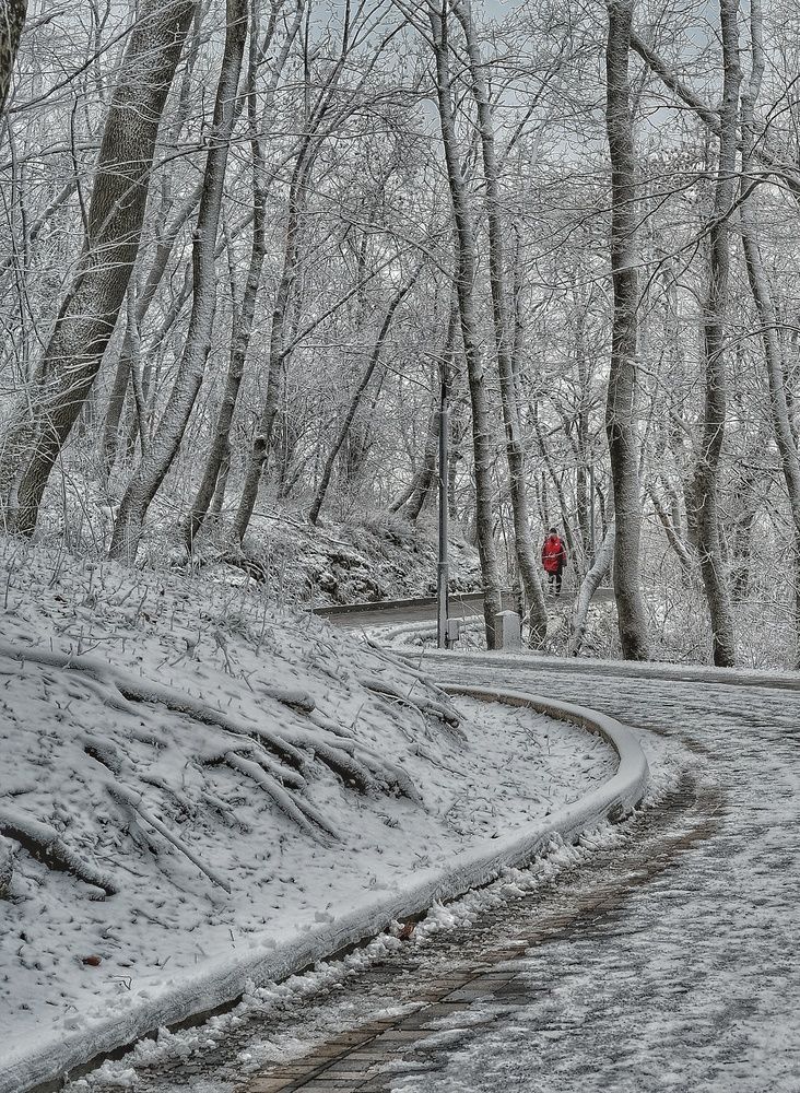 Photograph by Сергей Кошин
