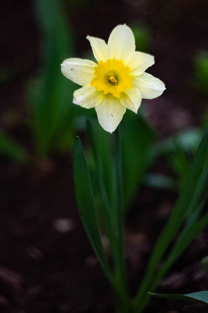 Photograph by Михаил Костыря