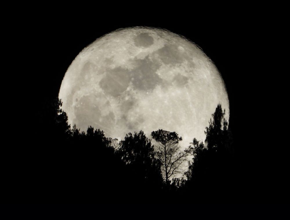 Фотография автора Camilo Martinez