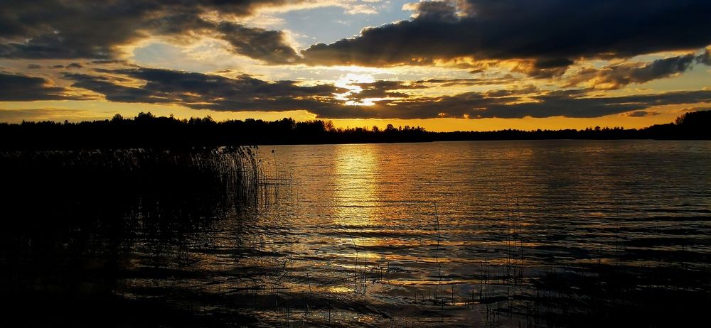Photograph by Маргарита Ковалёва