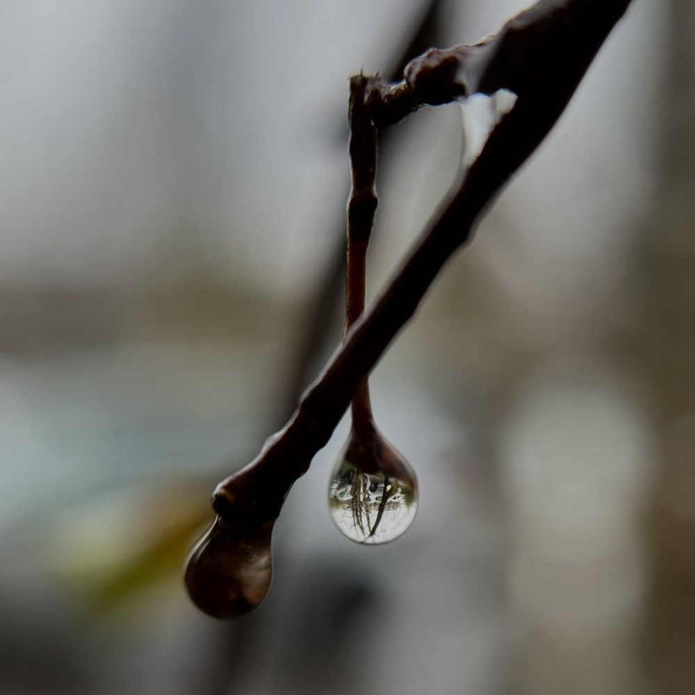 Photograph by Елена Гребенюк