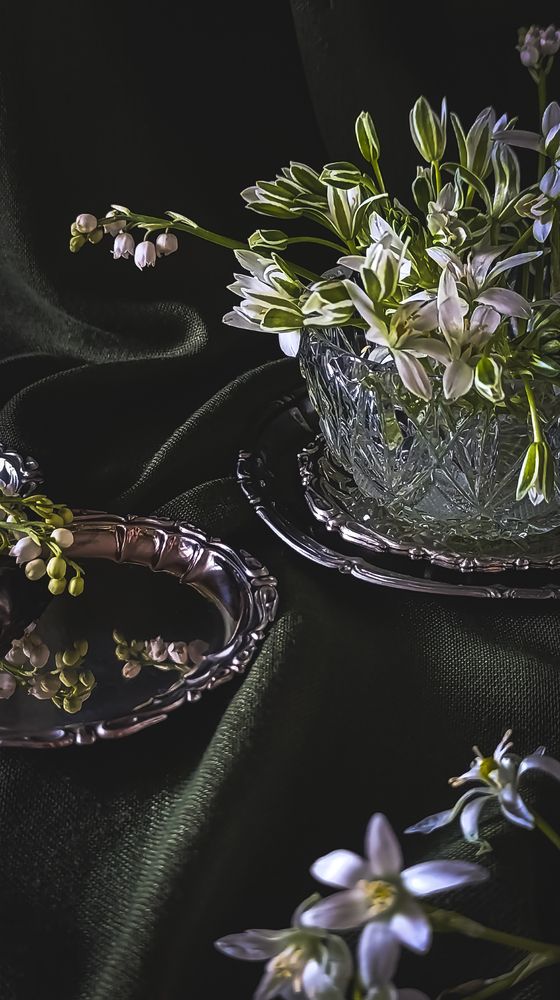 Photograph by Татьяна Гущина