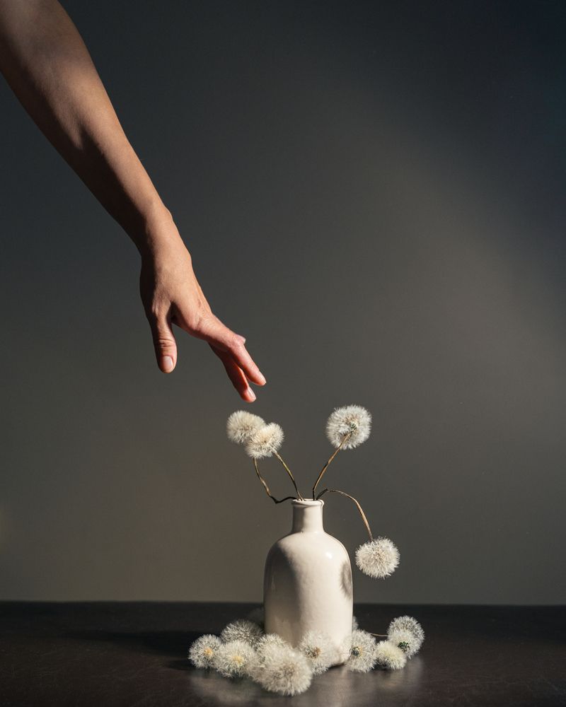 Photograph by Ekaterina Trifonova