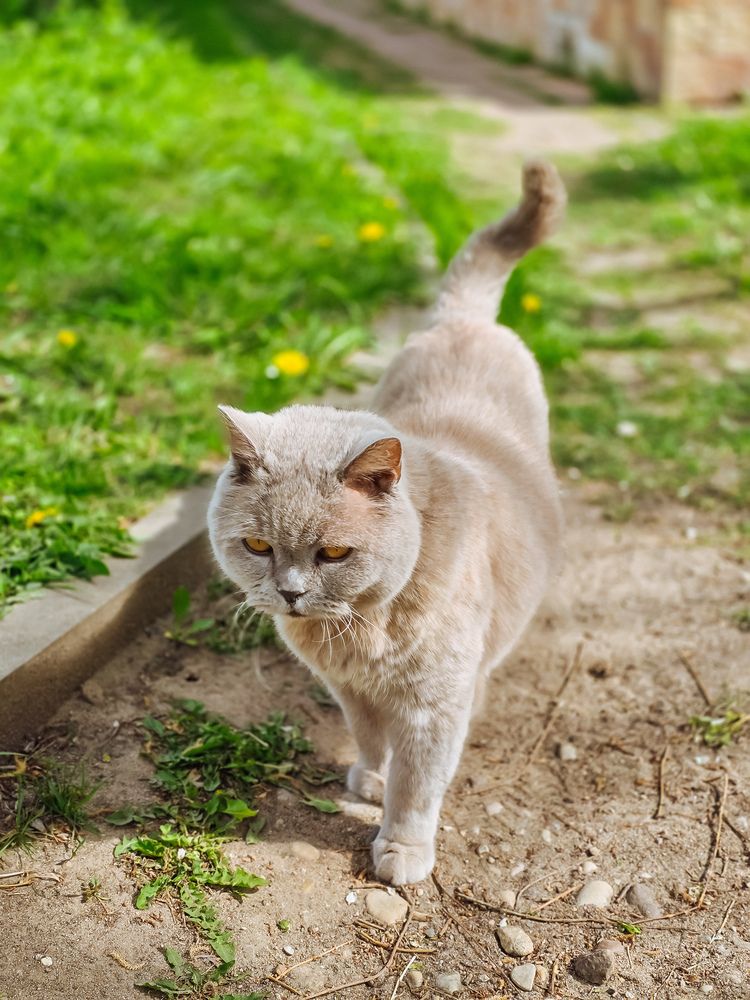 Photograph by Татьяна Гуцанович