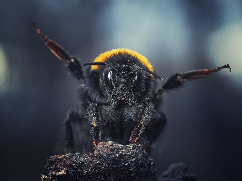 Фотография автора Евгений Лукашук