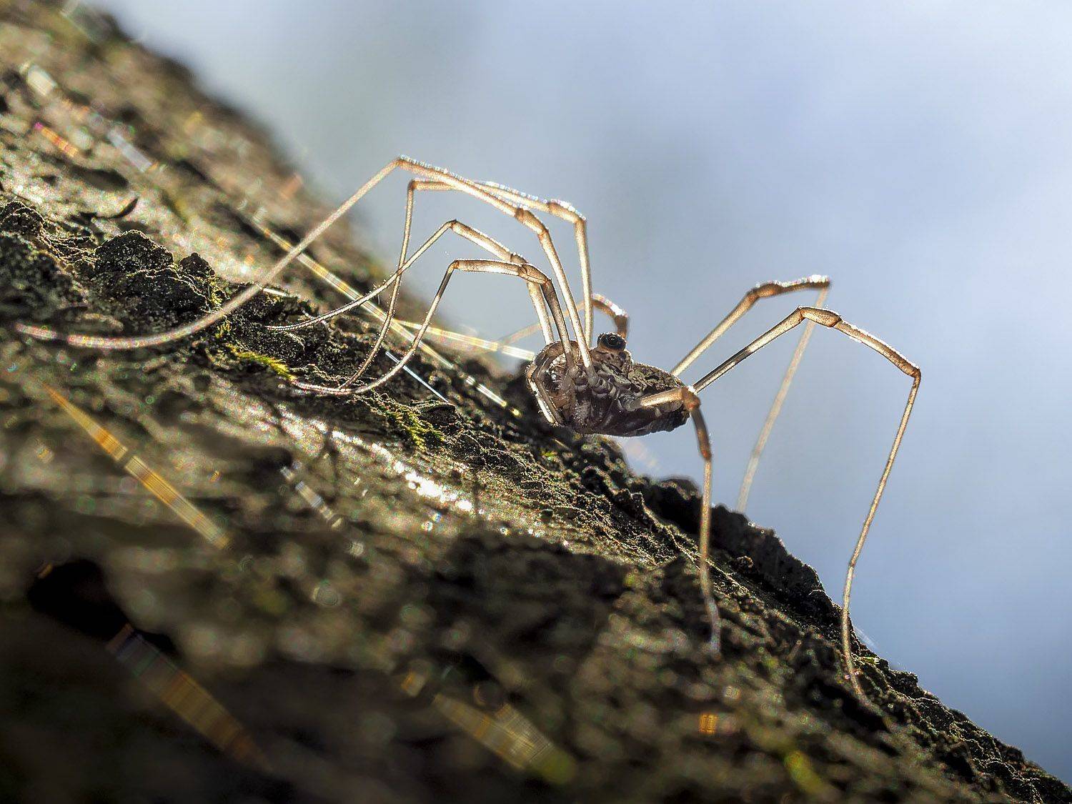 Фотография #12192254