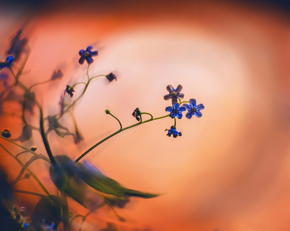 Photograph by Анастасия Василаки