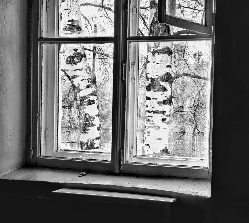 Photograph by Юрий Полушин