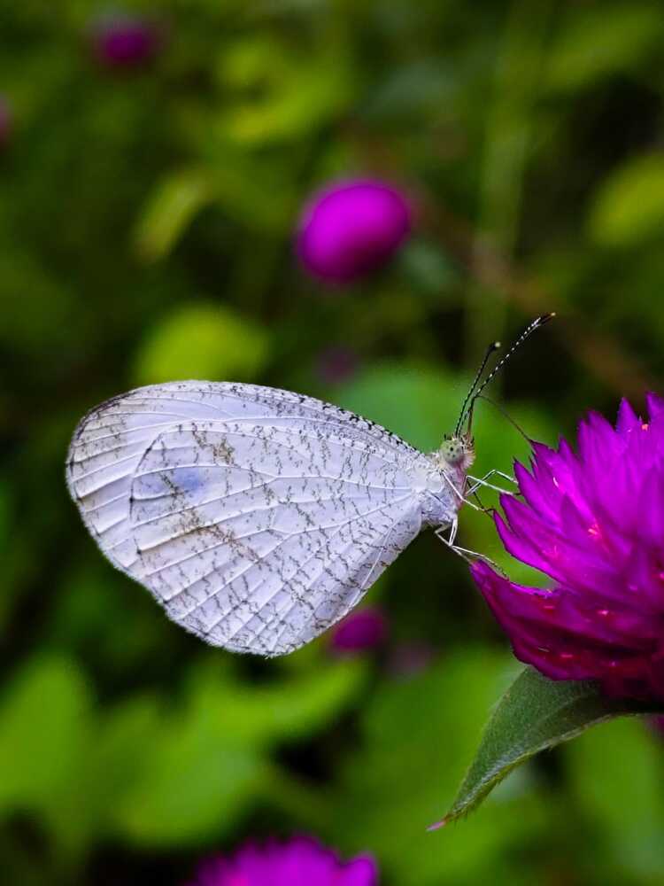 Photograph by Chinchu Chandran
