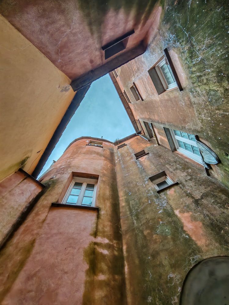 Фотография автора Максимова Дария