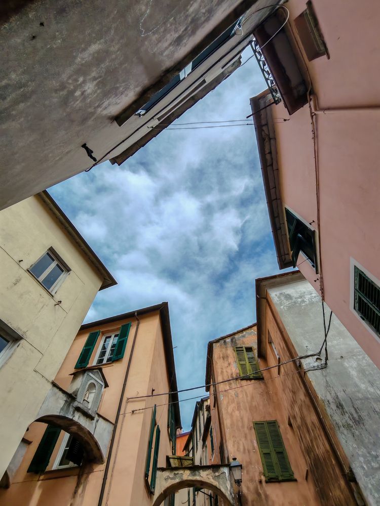 Фотография автора Максимова Дария