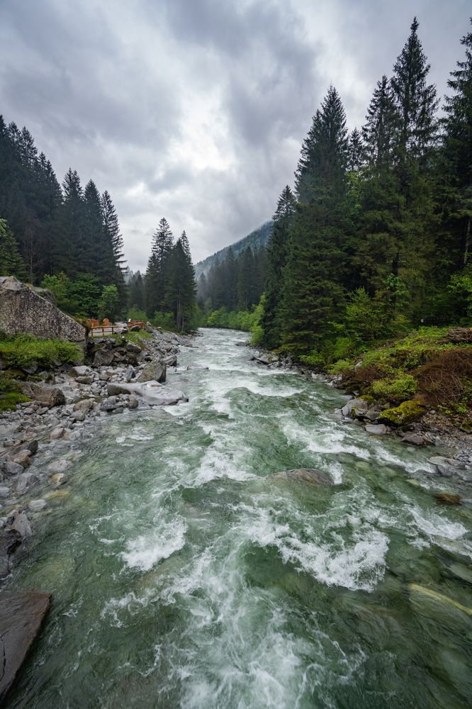 Фотография автора Максимова Дария