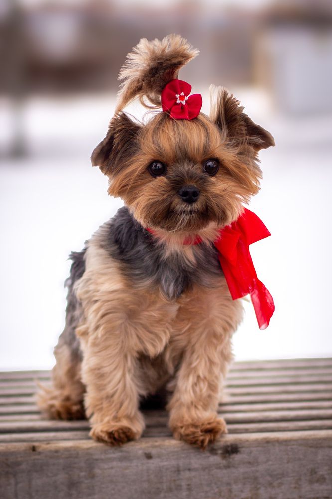 Photograph by Илья Антипов