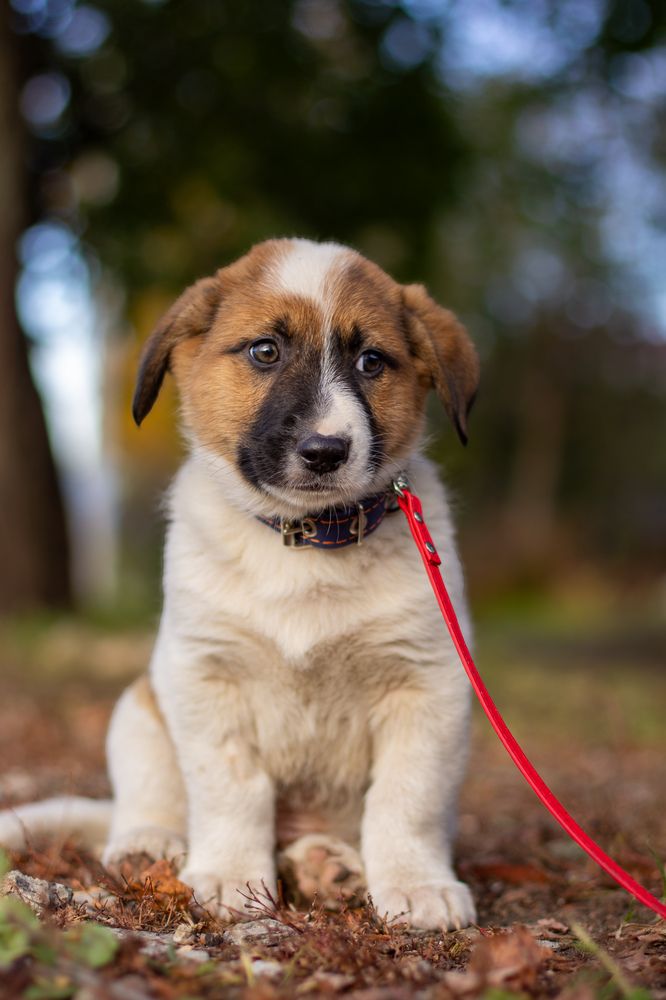 Photograph by Илья Антипов