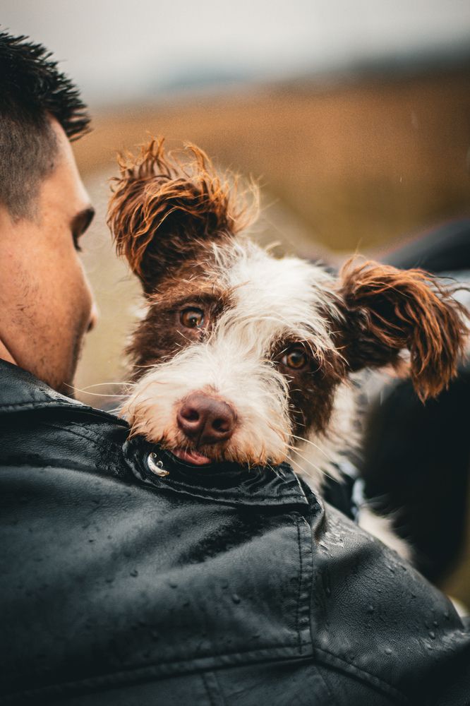 Фотосессия на ежегодный календарь