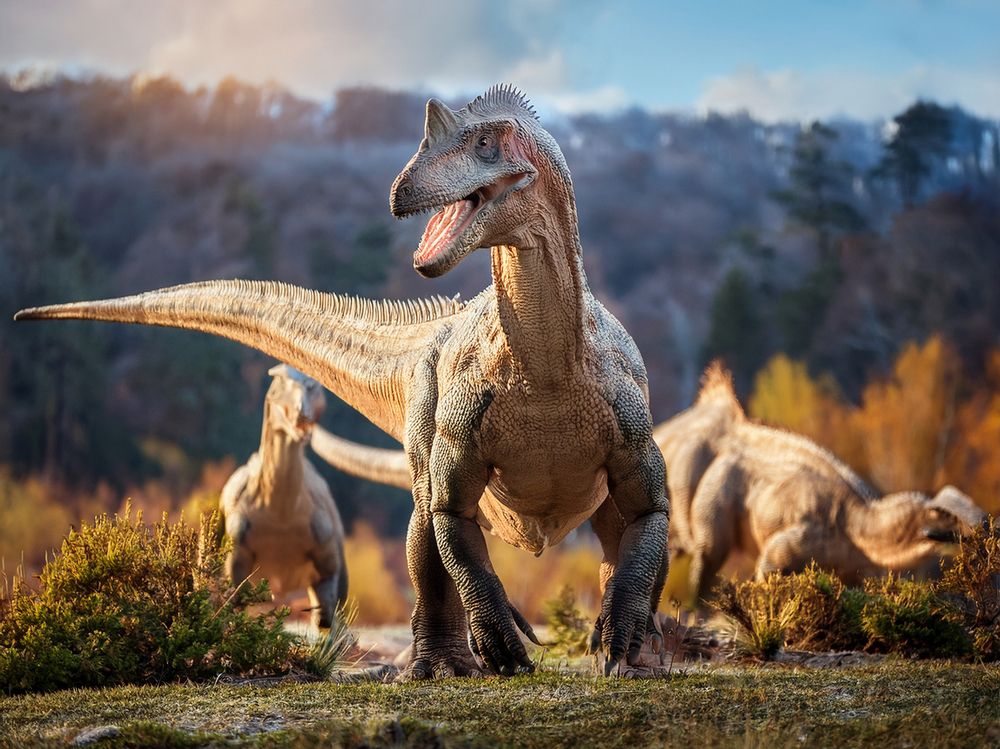 Photograph by Наталья Арбатская