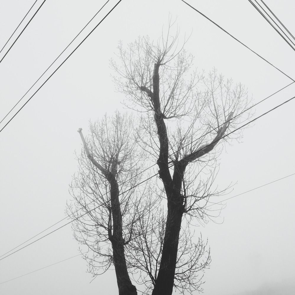 Фотография автора Антон Порохня