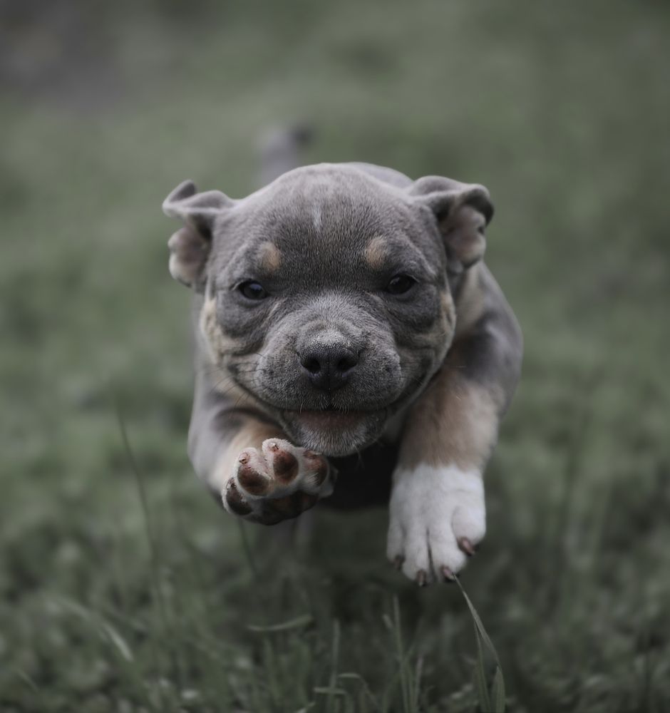 Photograph by Татьяна Полоцкая