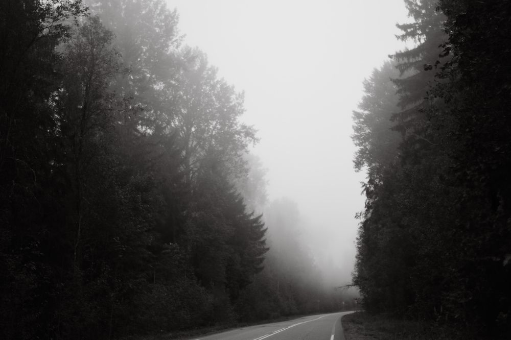 Photograph by Светлана Шахин