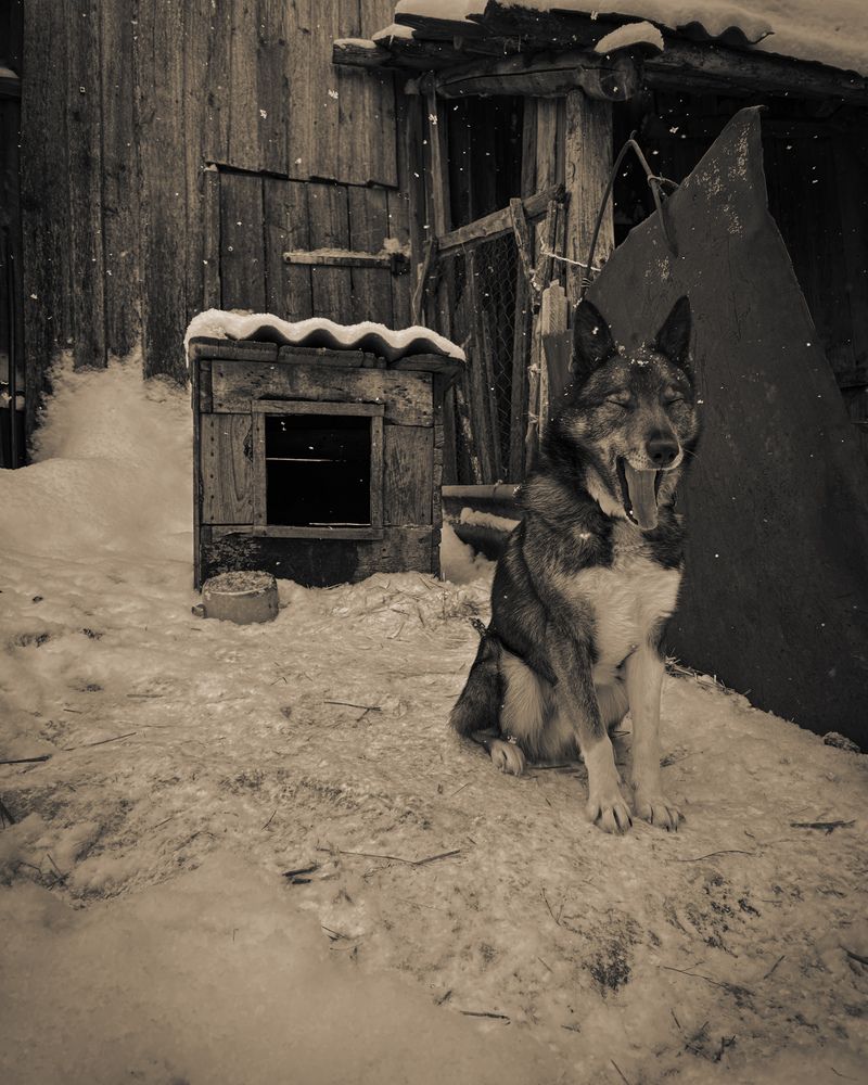 Photograph by Татьяна Петрова