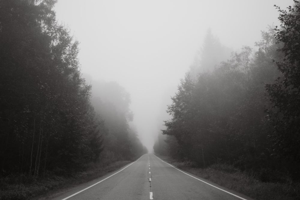 Photograph by Светлана Шахин