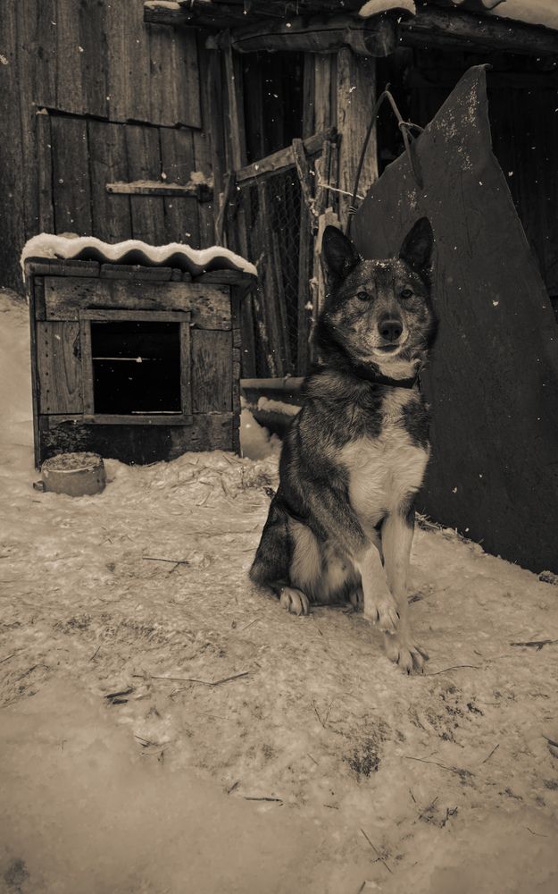 Photograph by Татьяна Петрова