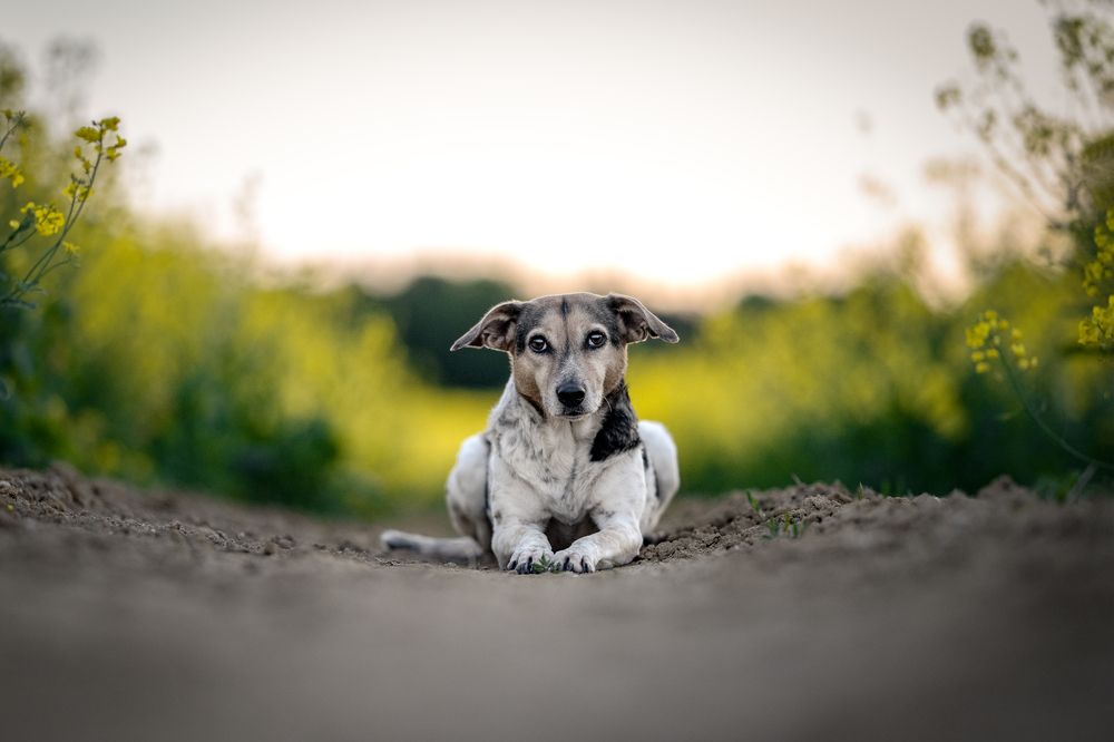 Photograph by Karoline Palme