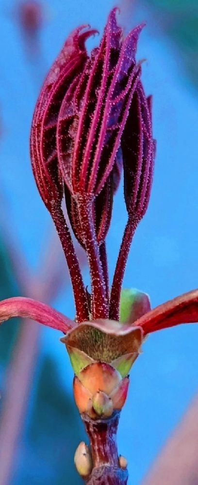 Весна. Пробуждение природы.