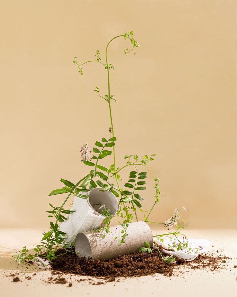 Photograph by Анастасия Тимарг