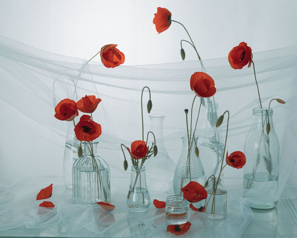 Photograph by Анастасия Тимарг