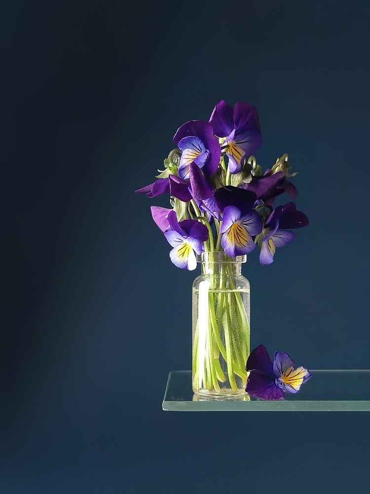 Фотография автора Татьяна Шахова