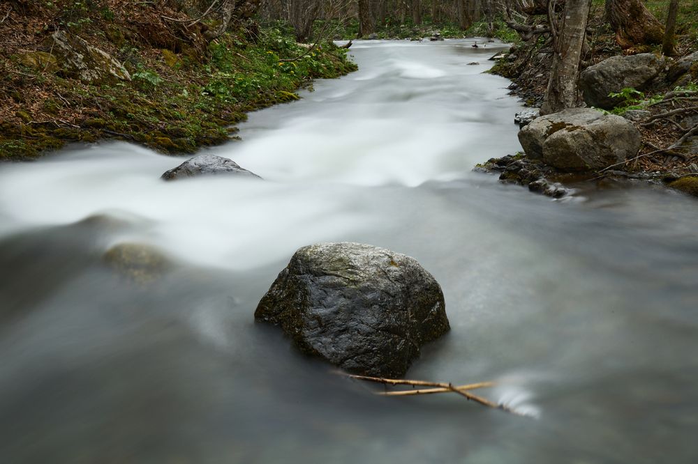 Фотография автора Бороненков Вадим