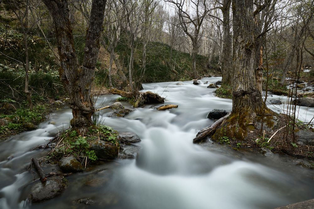 Фотография автора Бороненков Вадим