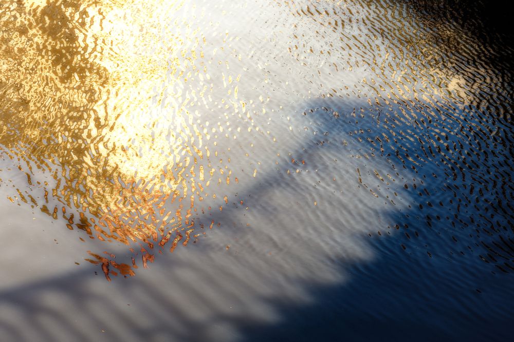 Photograph by Ольга Дунаева