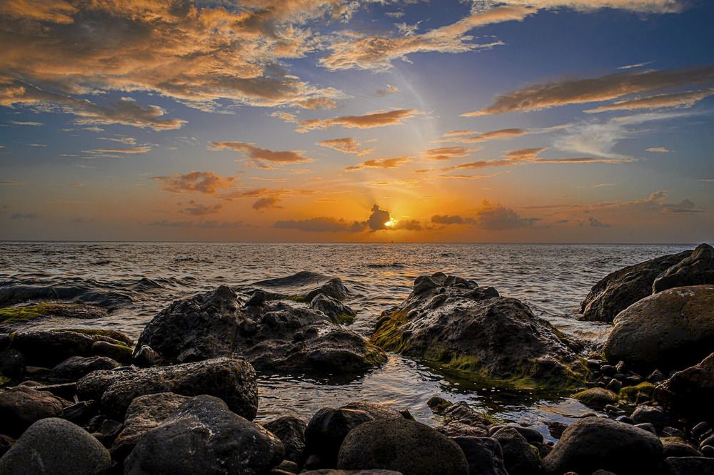 Photograph by Thomas Dunston