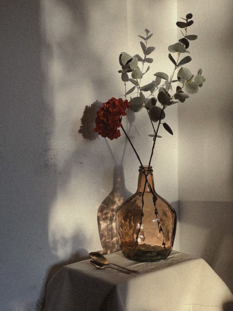 Photograph by Julia Smilovitsky