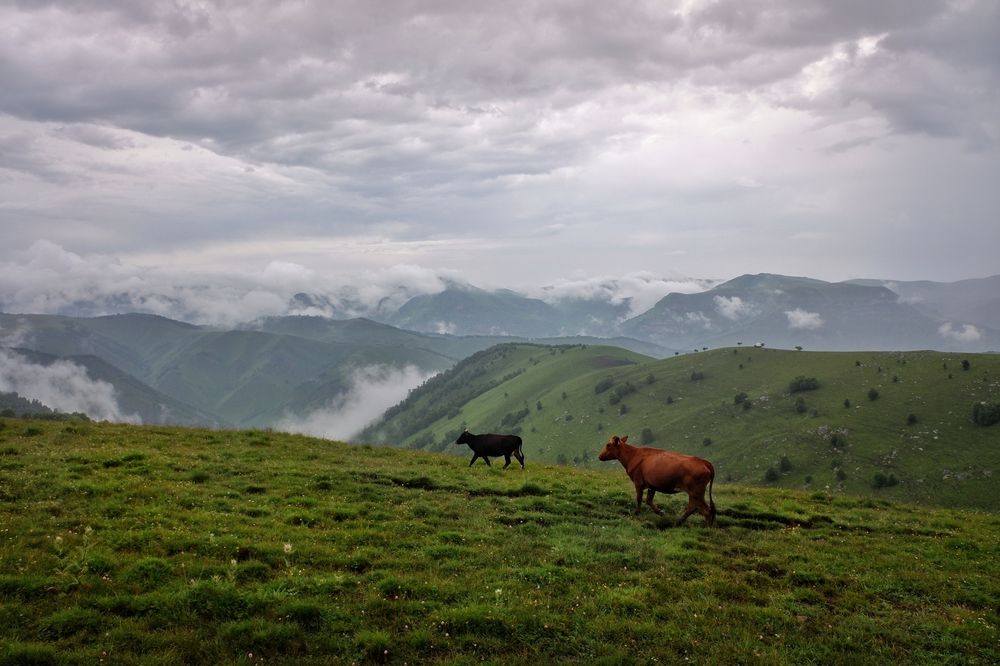 Photograph by Зорин Миша